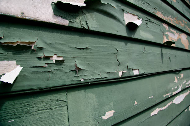 Trusted Wolverine Lake, MI Siding Installation & Repair Experts