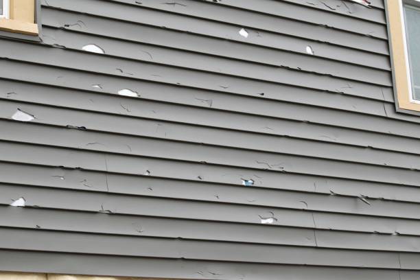 Best Stucco Siding  in Wolverine Lake, MI