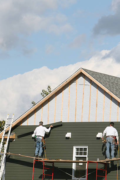 Best Stone Veneer Siding  in Wolverine Lake, MI