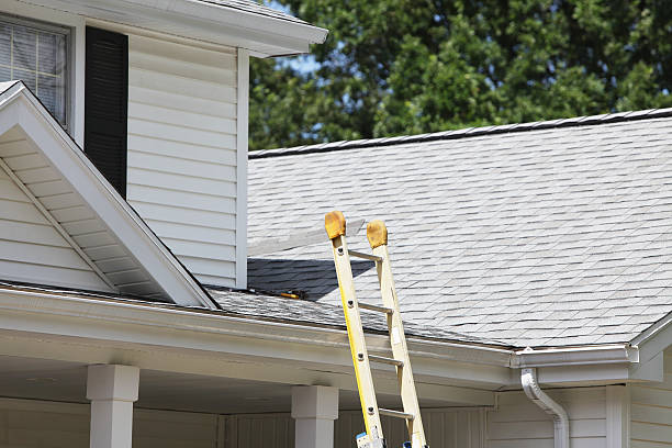 Best Siding Removal and Disposal  in Wolverine Lake, MI